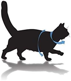 kitty holster amazon