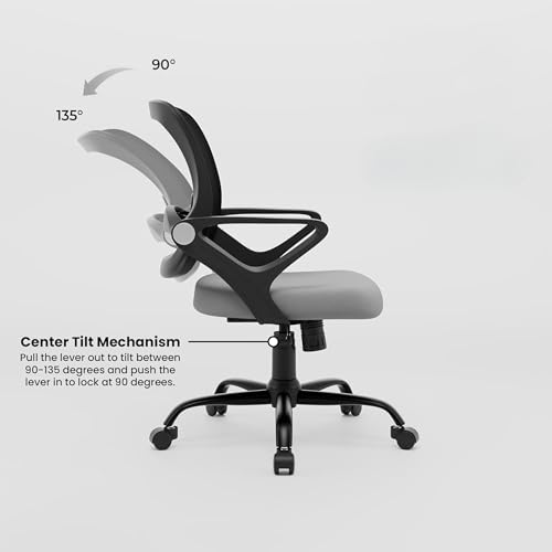 Image of Align Cherry Orthopedic Ergonomic Office Mesh Chair with Lumbar Support, Comfortable Cushioned Seat, Adjustable Height, Revolving Design, Tilt Lock, Heavy Duty Metal Base, 3 Years Warranty (Grey)