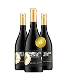 Burkheimer Cabernet Sauvignon trocken ViniGrande - Rotwein vom Feuerberg mit Kirscharomen & feinem Schmelz - vom Kaiserstuhl (3 x 0,75l)