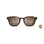 Tortoise Matte W/Man Utd/Hcl Bronze Polarized