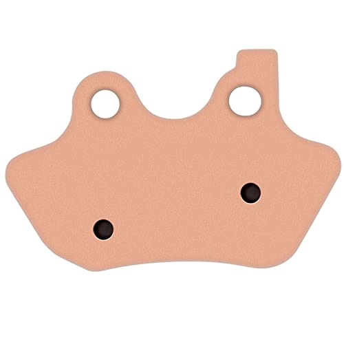 Scitoo Sintered Brake Pads Fit For 2000 2001 2002 2003 2004 2005 2006 2007 Dyna, Glide, For Fatboy, Heritage Softail, Night Train, Road Glide, Road King, Softail, Softail Springer #TOP3