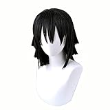 ZGNGLIZ Anime Cosplay Wig Long Short Synthetic Hair for Halloween Costume Party with Free Wig Cap (Short Black)