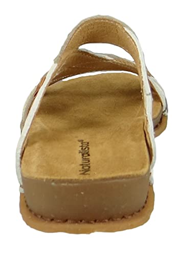 El Naturalista Panglao N58124