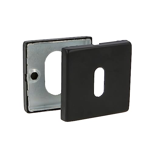 Amig - Edelstahl Türöffnung 6RX Maulwurf | Kompatibel mit Europrofilzylinder | Ideal für Innen- und Außentüren | Einfache Installation, Schwarz, 54 x 54 mm, Edelstahl