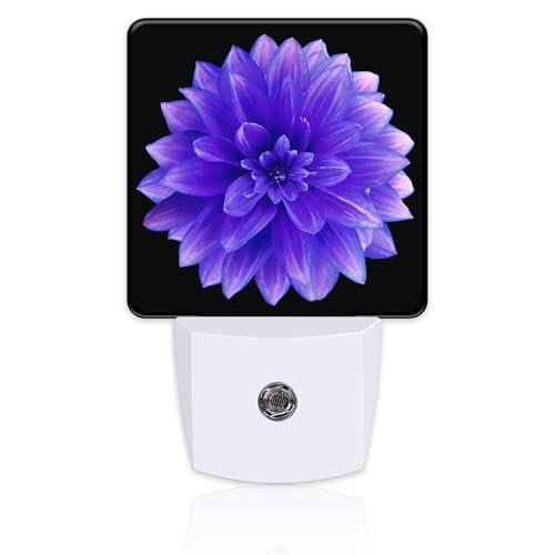 Image of Purple Dahlia Flower Night Light for Kids, Abstract Blooming Floral Night Light Plug in with Dusk to Dawn Sensor, 0.5w Energy Saving Sleep Friendly Nightlight for Hallway Stairway Kitchen Bedroom
