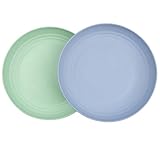 Soptalles Wheat Straw Plates Set of 2, 9 Inch Unbreakable Dinner Plates, Reusable Plate for Camping,Picninc,Family Dinner, Dishwasher & Microwave safe (Green and Blue)