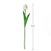 JUSTOYOU Latex Tulip, True Touch, Ramo de Flores Artificiales Decorativas, Hogar, Hotel,...