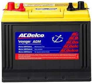 ACDelco - Batería dorada (Voyager profesional) de 12 V