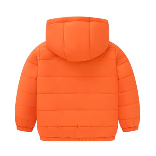 2024 Winter Jacket Coat Boys Girls Middle Kids Hooded With Pockets Solid Color Short Cotton Jacket Xmas Jacket Coat2