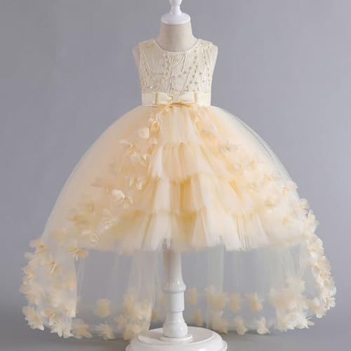 2-12Y Lace Tulle Girl Dresses Tiered Dress for Kids Princess Birthday Party Gowns Trendy Sleeveless Evening Dresses3
