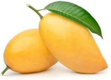 1pc Yellow Mango Fruit Seeds