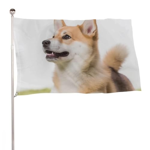 Drapeaux de jardin grand format 150x240cm avec motif chien et oeillets