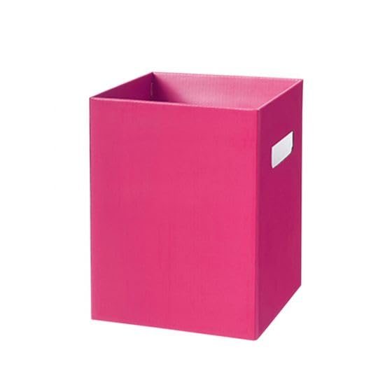 OASIS® Porto Box – Pack of 10 Floral Arrangement Transport Boxes – Rosa Pink – 24.5x18x18cm – Lightweight Durable Vase