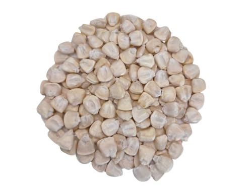 Premium White Hominy (Maíz Pozolero Blanco) – Whole Dried Corn