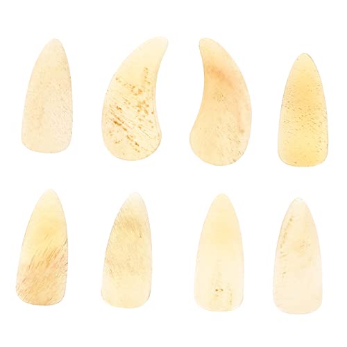 ERINGOGO 8⶗pwb veN^[ yʏҌtp tBK[s