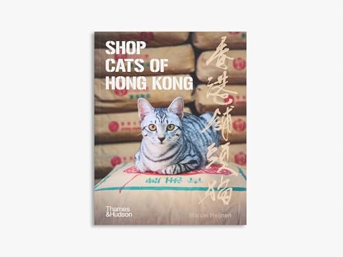 City Cats of Istanbul