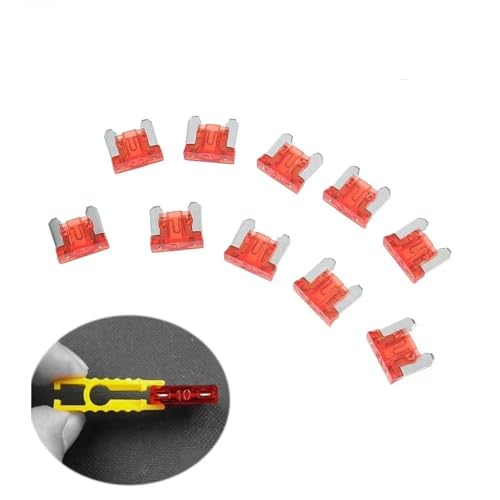 Set de 10 fusibles pequeños mini automóvil de hoja eléctrica 5A 7.5A 10A 15A 20A 25A 30A 35A 40A (35A, Medio) miniatura 5