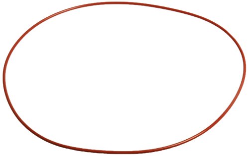 Raypack 006713F O-Ring Gasket 2/Pkg