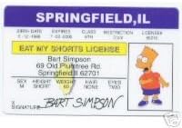 The Simpsons - Bart Simpson - Collector Card - B