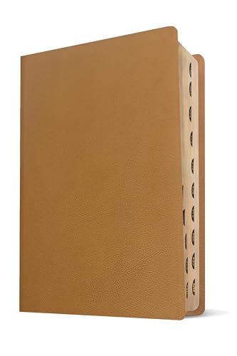 NLT Every Woman’s Bible, Filament Enabled (Genuine Leather, Camel, Indexed, Red Letter) - image 5