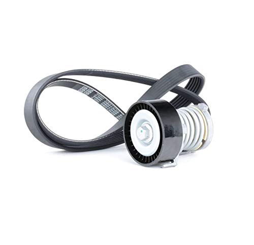 RIDEX Kit Cinghie Poly-V 542R0134 Golf IV Schrägheck (1J1) POLO (9N_) 1080mm