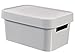 CURVER 04746-099-00 Infinity Boîte à Rangement avec Couvercle Plastique Gris Clair 26,8 x 18,6 x 12,4 cm 4,5 L