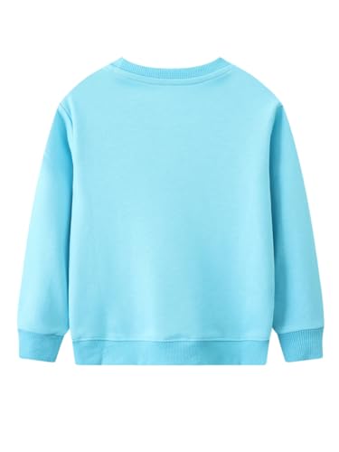Boys Sweatshirts Casual Sweatshirts Cotton Sweatshirts Long Sleeve T-shirts Crew Neck Cartoon Tops for Boys-5612
