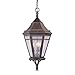 Troy Lighting F1276NR Morgan Hill-3 Light Outdoor Hanging Lantern-13 Inches Wide by 27 Inches High,