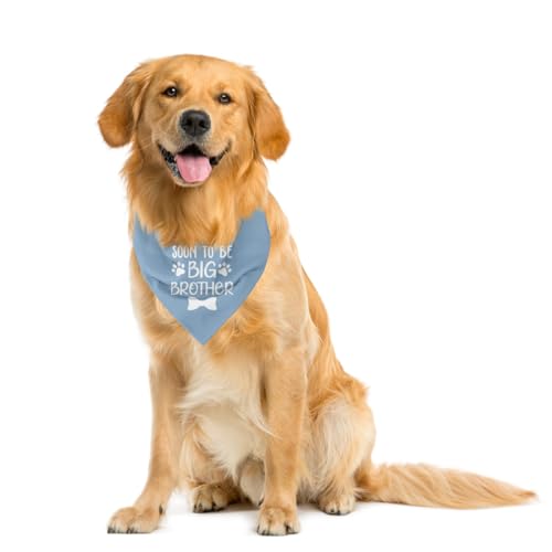 Bandana Big Brother para cães, anúncio de gravidez, lenço de cachorro, anúncio de gravidez de cachor