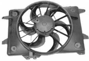 Amazon.com: Motorcraft RF68 Engine Cooling Fan and Motor Assembly ...
