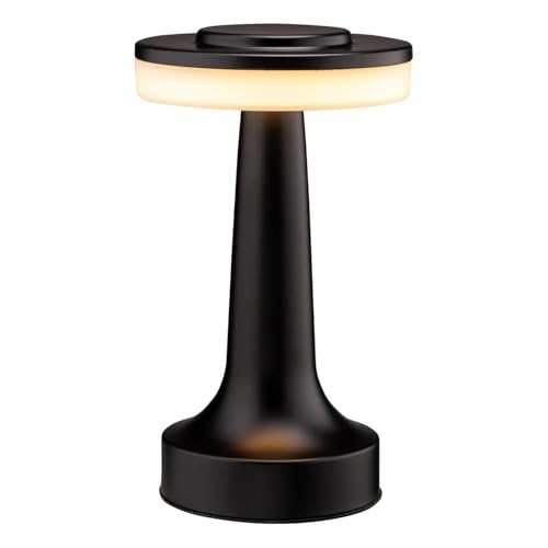 Bizvan Portable LED Table Lamp Touch Dimmable with 3 Brightness Levels Rechargeable Bedside & Night Light for Kids Black Alloy