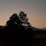 My Body is Your Body [Explicit]