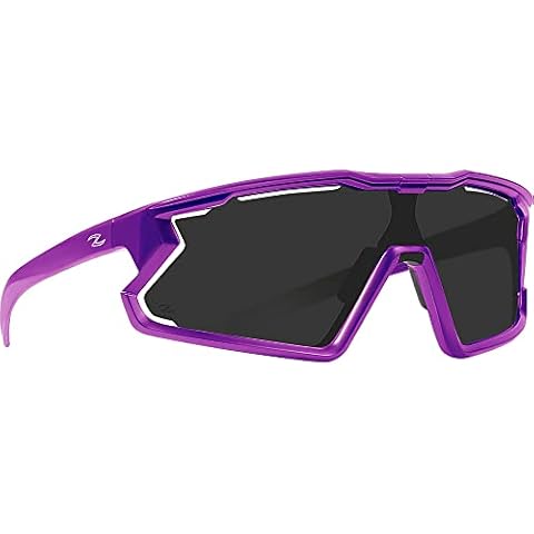 Zol Breakaway Sunglasses (Purple Silver) Cover
