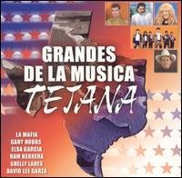 Grandes De La Musica Tejana