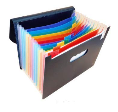 DAMIGRAM Expanding Files Folders, Portable Rainbow A4 Filing Organiser, Expander Plastic Wallets Filing Box Document Holder (12 Pocket)