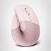 Logitech Lift Vertical Ergonomic Mouse, Wireless, Bluetooth or Logi Bolt USB Receiver, Quiet clicks, 4 Buttons, Compatible with Windows/macOS/iPadOS, Laptop, PC - Rose