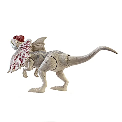 Jurassic World GWY30 - Dino-Angriff Dilophosaurus Dinosaurier-Actionfigur mit beweglichen Gelenken, Dinosaurier… – Bild 6