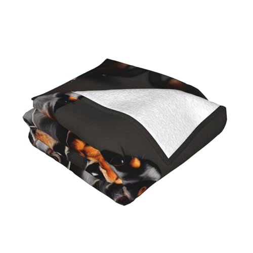 Couverture douce teckel lavable en machine pour toutes saisons - 3