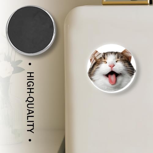 Imán de vidrio con diseño de gato para refrigerador miniatura 4