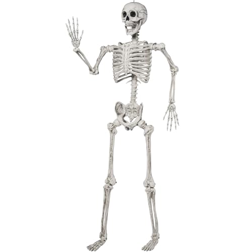 Image of JOYIN 5.6 FT Halloween Posable Life Size Skeleton Full Body Realistic Bones with Movable Joints for Halloween Indoor and Outdoor Decoration Props Spooky Scene Party Decorations (White)