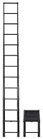 Algopix Similar Product 8 - Telesteps 1600ET Telescoping Ladder