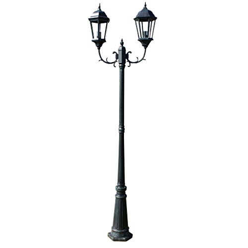 Festnight Lampadaire de Jardin Lampadaire 2 Têtes 230cm 100W 220-240V