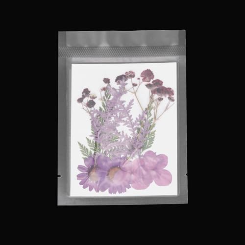 Flores secas prensadas naturales para manualidades miniatura 4