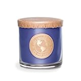 Eco Candle Co. Vela reciclada, baya cosecha, 6 onzas, doble mecha, aromas de bayas, especias y jarabe mantecoso, 100% cera de soja, sin plomo, etiqueta y tapa de papel kraft, vertida a mano, soja
