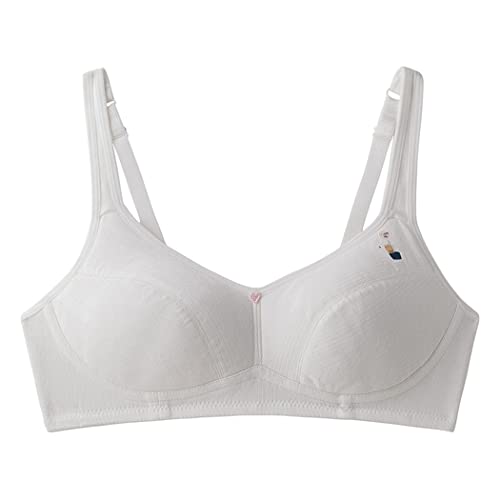 [FateMaster] WjA u u  mC[ K[Yu Ȑ  YuW[  hȂ  h~ w Z w q  X|[cu d X (L,zCg,JP,At@xbg,JP