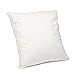 H&F Heimtextilien Poduszka z pierza, 40 x 40 cm, wypełnienie poduszki 300 g, 100% pierza, poduszka z certyfikatem Öko-Tex, poszewka 100% bawełna