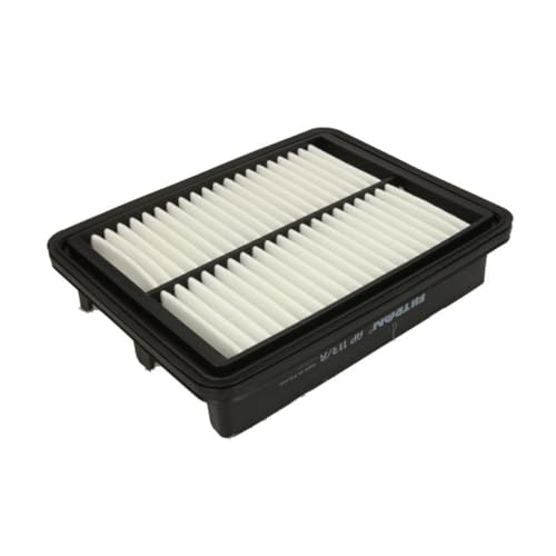 Filtron AP 113/8 - Filtre Ă air