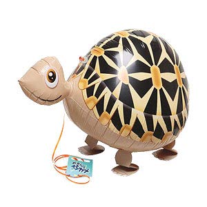 Amazon | イベンテック おさんぽ風船 カメ | 風船・バルーン | おもちゃ