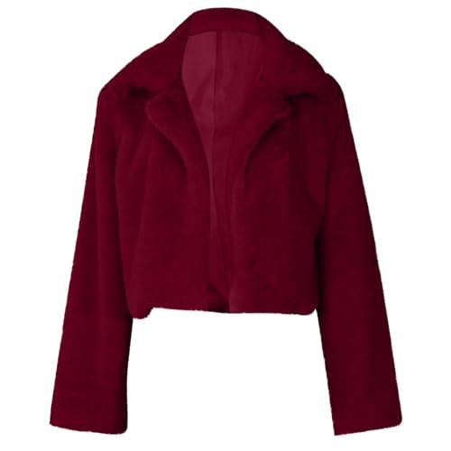 Outfits for Women Fall Winter Long Sleeve Turtle Neck Hula Warm Fuzzy Plain Jacket Outfit Women 2025 Fashion Y2K3