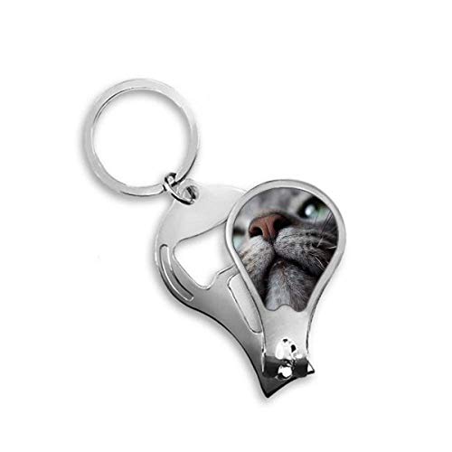 Coupe-ongles chat pour la routine de soin des animaux dans votre salon
